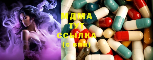 прущие грибы Наволоки