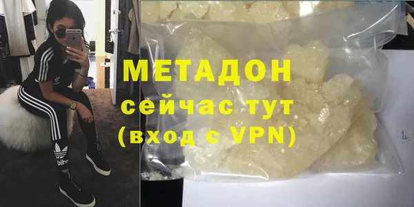 прущие грибы Наволоки