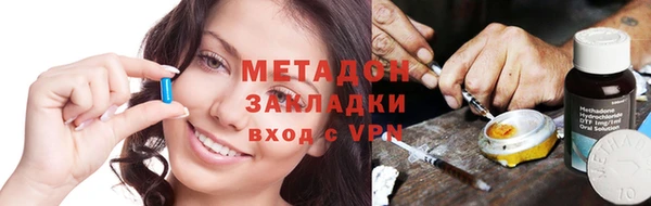 прущие грибы Наволоки