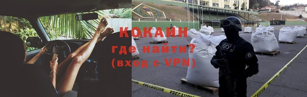 прущие грибы Наволоки