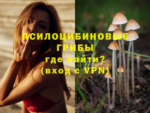кокс Надым