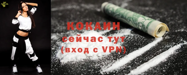 прущие грибы Наволоки